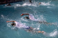 Swimming is just one sport on offer at the Outgames in Melbourne
