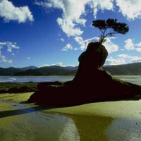New Zealand, long a country known for its natural beauty, is also a rather progressive nation on LGBTI issues