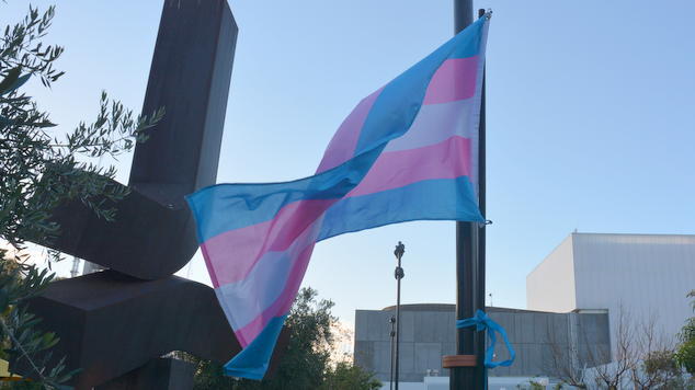 Transgender Flag