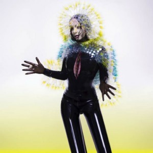 Bjork-Vulnicura