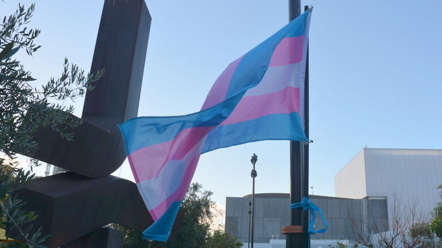 Celebrate Transgender Day of Visibility this weekend - OUTinPerth