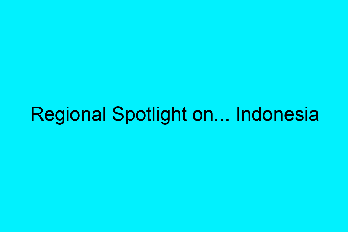 Regional Spotlight on... Indonesia - OUTinPerth