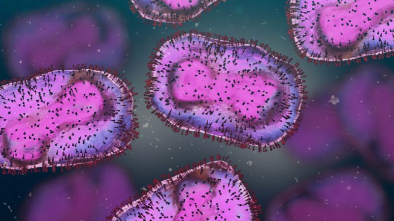 Rare mpox strain identified in Queensland outbreak