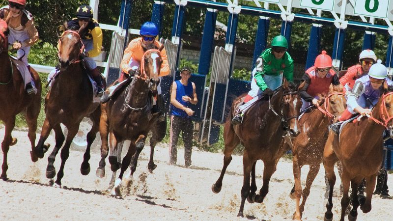 Racing stable faces fine over use of gay slur in social media post