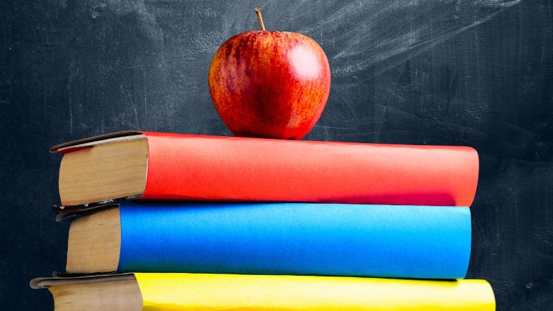 UK teacher banned from teaching over extreme comments